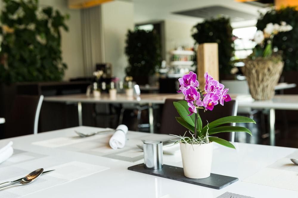 Hotel Apart - Welcoming L Urban Feel L Design Risch-Rotkreuz Exterior foto
